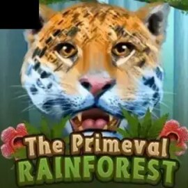 The Primeval Rainforest