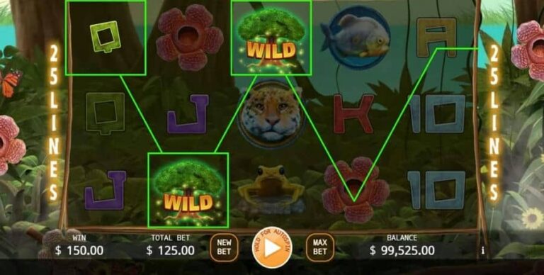 The Primeval Rainforest