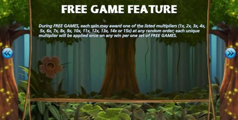 The Primeval Rainforest