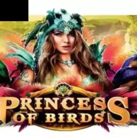 Princess of Birds