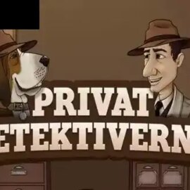 Privat Detektiverne