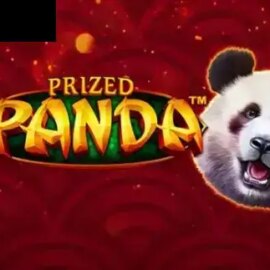 Prized Panda
