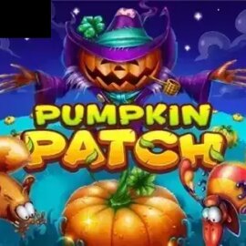 Pumpkin Patch