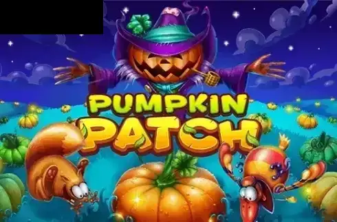 Pumpkin Patch