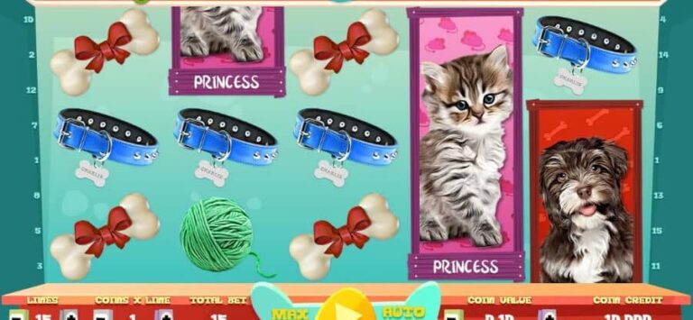 Puppies and Kittens