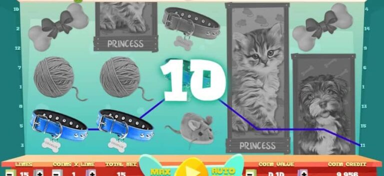 Puppies and Kittens