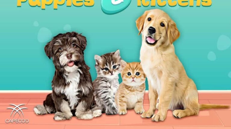 Puppies and Kittens