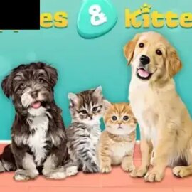 Puppies and Kittens