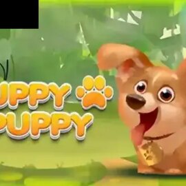 Puppy Puppy