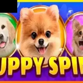Puppy Spins
