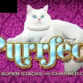 Purrfect