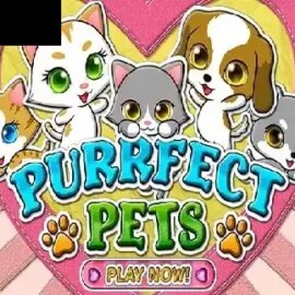 Purrfect Pets
