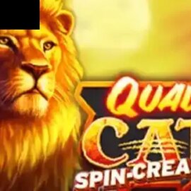Quad Cat