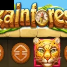 Rainforest