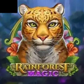 Rainforest Magic