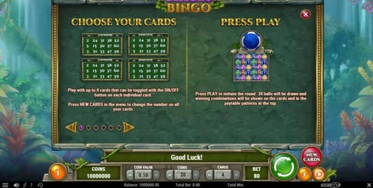 Rainforest Magic Bingo