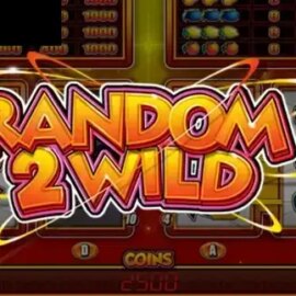 Random 2 Wild