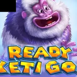 Ready Yeti Go