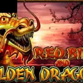 Red Bird And Golden Dragon