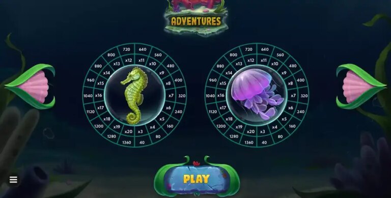 Reef Adventures