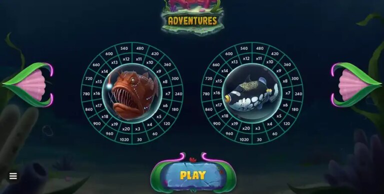 Reef Adventures