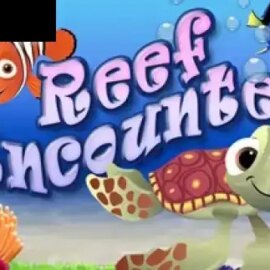 Reef Encounter