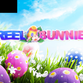 Reel Bunnies