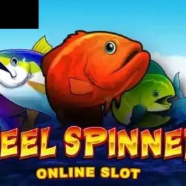 Reel Spinner