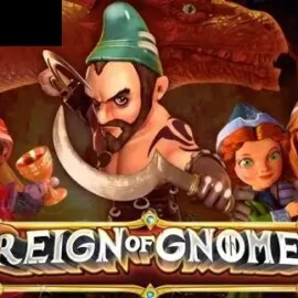 Reign of Gnomes