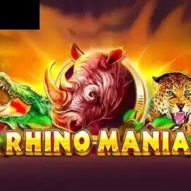 Rhino Mania