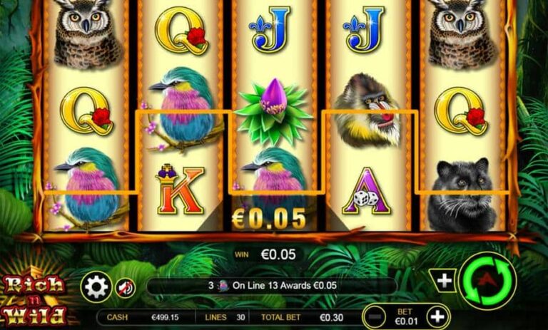 Rich n Wild