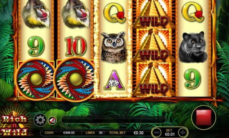 Rich n Wild