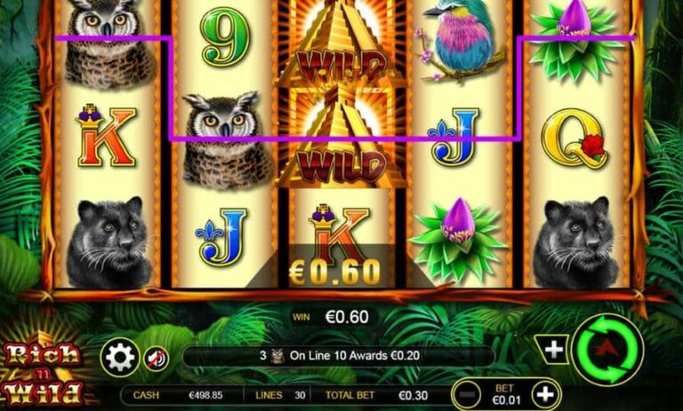 Rich n Wild