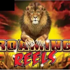 Roaming Reels