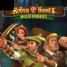 Robin Hoods Wild Forest