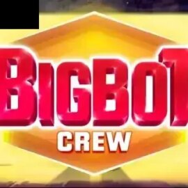 Big Bot Crew
