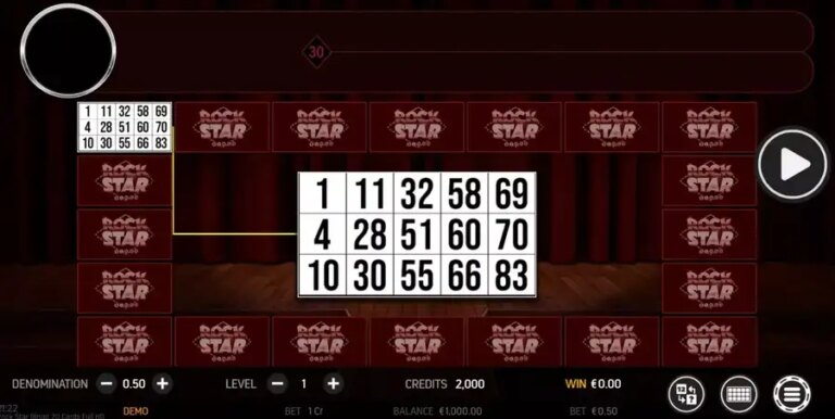 Rock Star Bingo