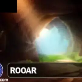 Rooar