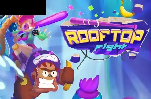 Rooftop Fight
