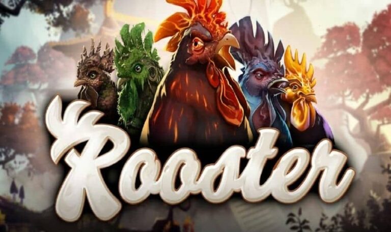 Rooster