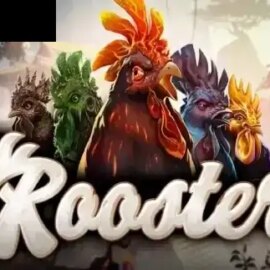 Rooster