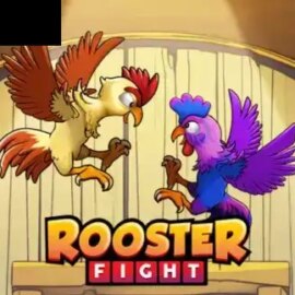 Rooster Fight