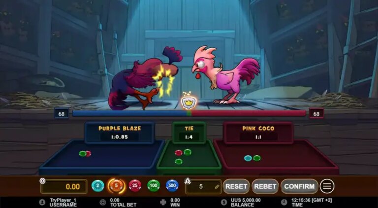 Rooster Fight