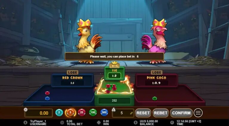 Rooster Fight
