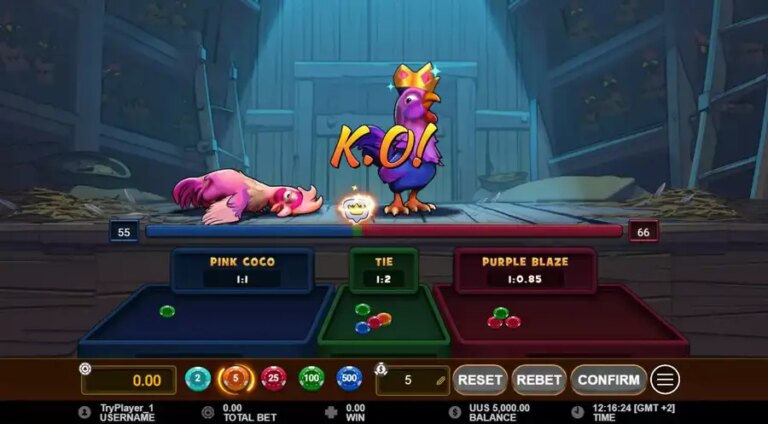 Rooster Fight