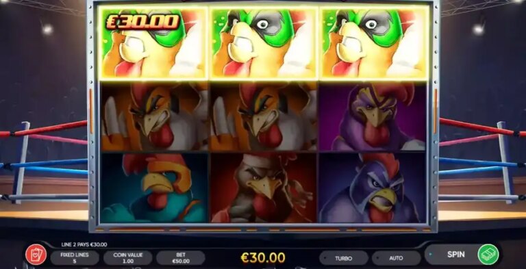 Rooster Fury
