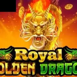 Royal Golden Dragon