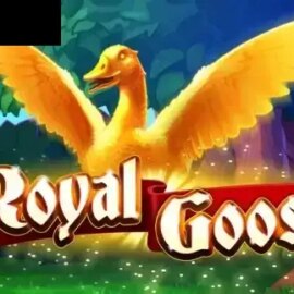 Royal Goose