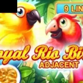 Royal Rio Birds