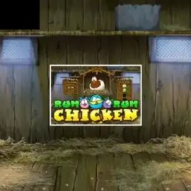 Run Chicken Run